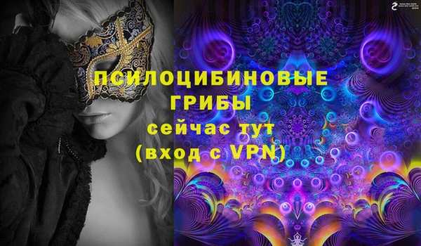 MESCALINE Аркадак