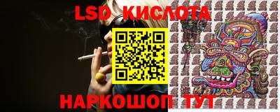 сатива Заводоуковск