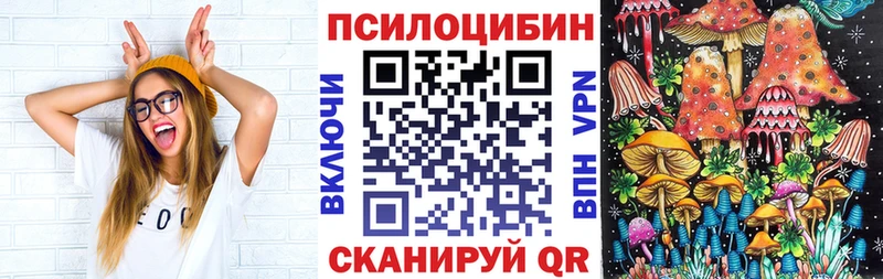 Галлюциногенные грибы Psilocybe  даркнет сайт  Михайловск 