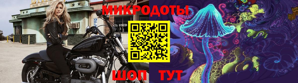Галлюциногенные грибы ЛСД  Вход с VPN  где найти   Михайловск 